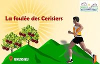 brussieu2020logo