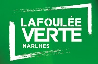 fv2016logo