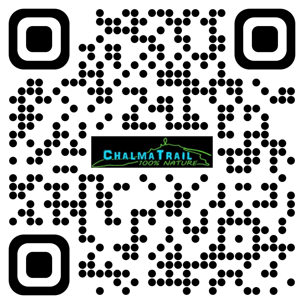 qrcode42