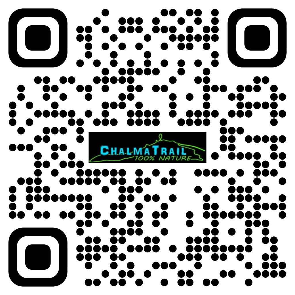 qrcode42